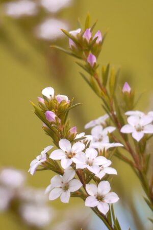 Arnaud LECLERE Arnaud LECLERE