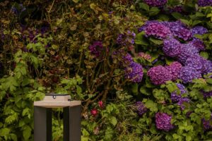 luminaires exterieurs et fontaines paysagiste ameline arbora bretagne (3)