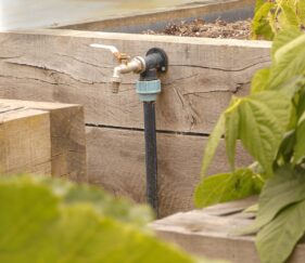 poulailler potager arbres fruitiers paysagiste dinan dinard st malo (14)