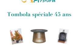 Tombola 45 ans - image mise en avant site web