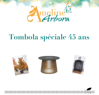 Tombola 45 ans - image mise en avant site web