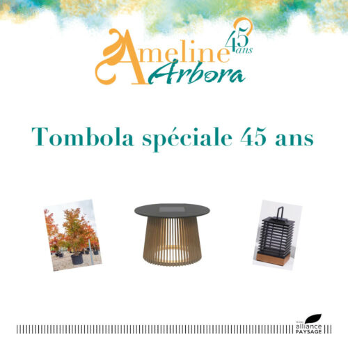 Tombola 45 ans - image mise en avant site web