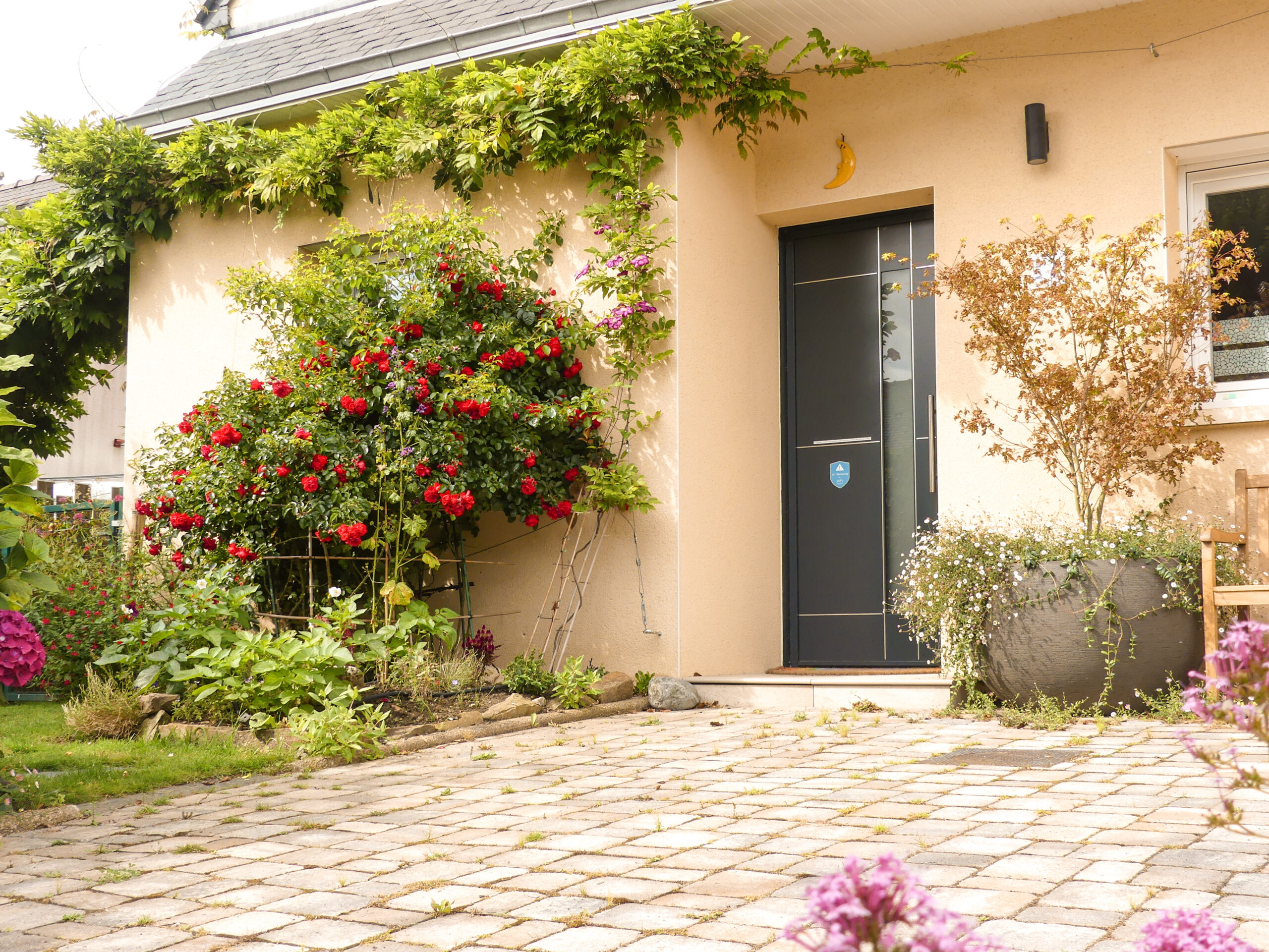 LES PIEDS au SEC LES PIEDS au SEC