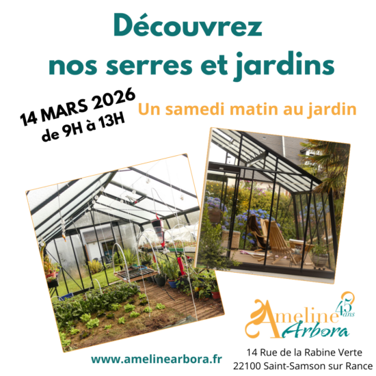 Vosuel Google posts - Solocal Vosuel Google posts - Solocal