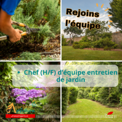 Recrutement - Chef équipe entretien jardin Recrutement - Chef équipe entretien jardin